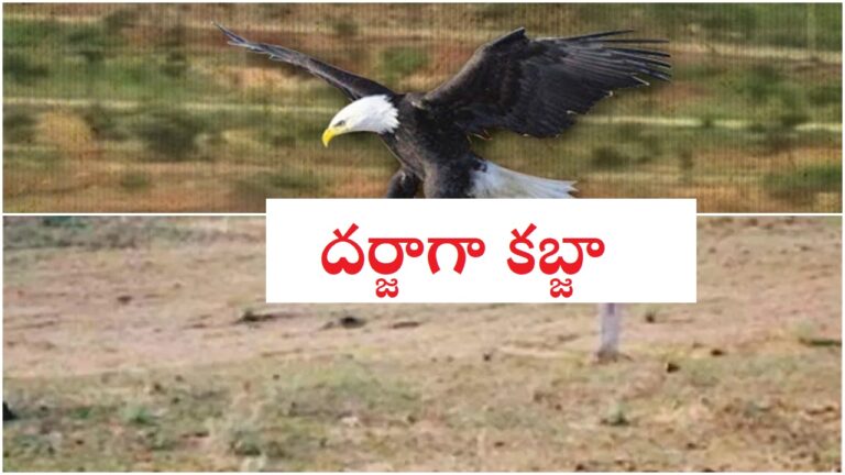 Land Kabzas:ఖాళీ స్థలం కనిపిస్తే కబ్జా.. అనంతలో భూబకాసురులు