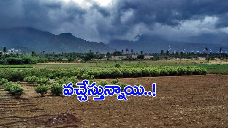 Weather Updates : రాగల 24 గంటల్లో భారత్‌లోకి రుతుపవనాల ఆగమనం..