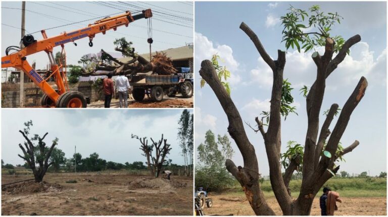 Mothers Memory: అమ్మకు గుర్తుగా కొడుకు వినూత్న ప్రయత్నం