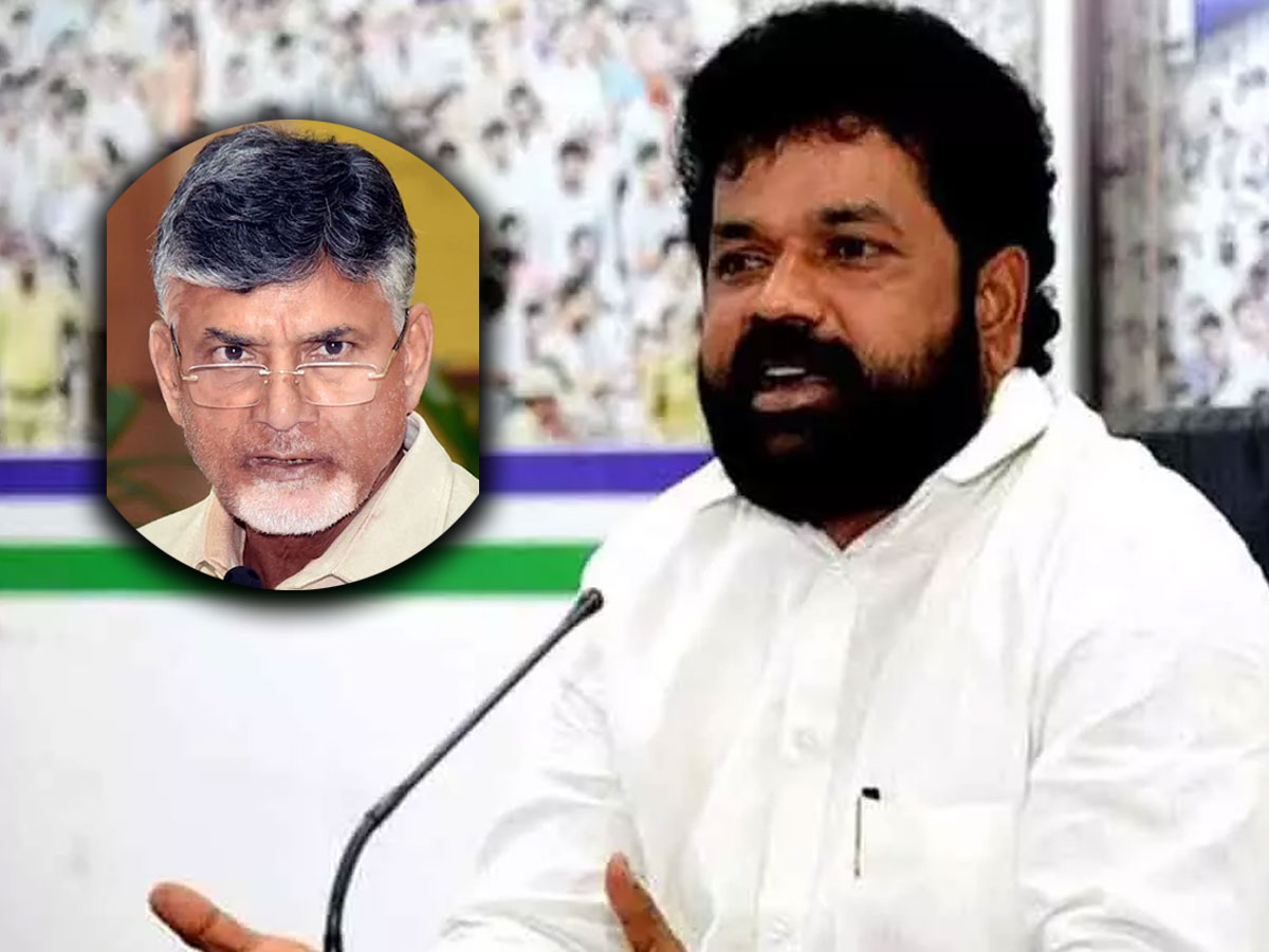 Nandigam Suresh: సింగిల్‌గా వచ్చే దమ్ము లేకే, పొత్తులకు వెంపర్లాడుతున్నారు