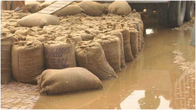 Paddy Issue: వర్షాలతో అన్నదాతల అగచాట్లు