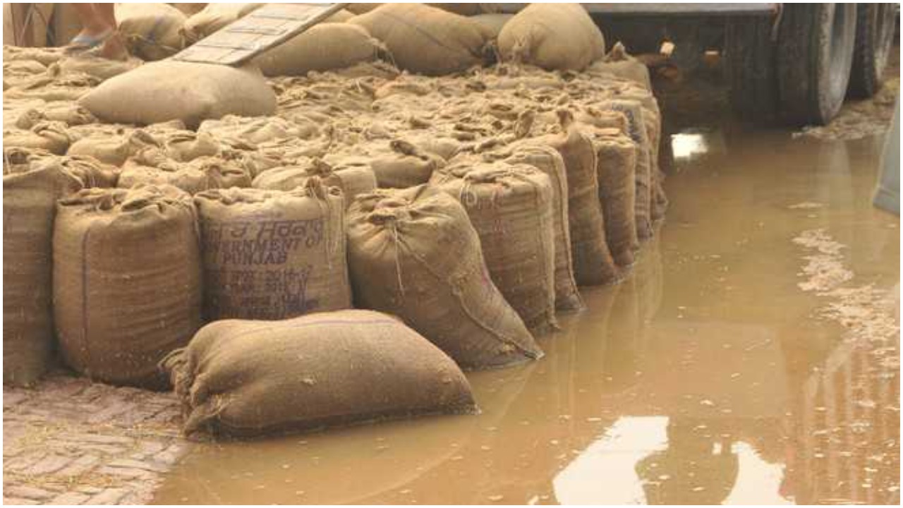 Paddy Issue: వర్షాలతో అన్నదాతల అగచాట్లు