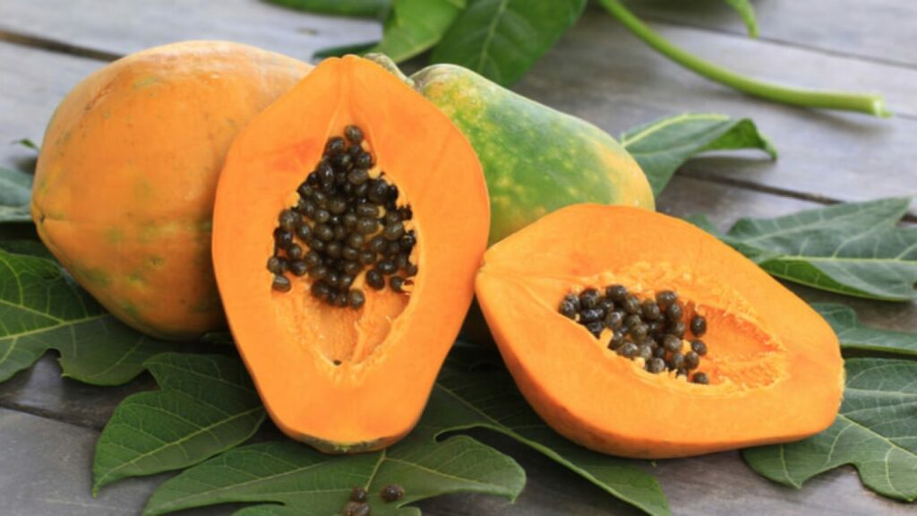 Papaya 2 1280x720