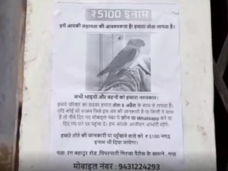 Viral News: ఊరంతా పోస్టర్లు.. చిలుకను పట్టిస్తే రూ.5,100 బహుమతి