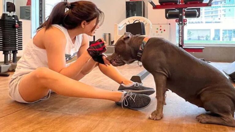 Samantha : సమంత షిఫ్ట్.. ఒంటరిగానే అలా..!