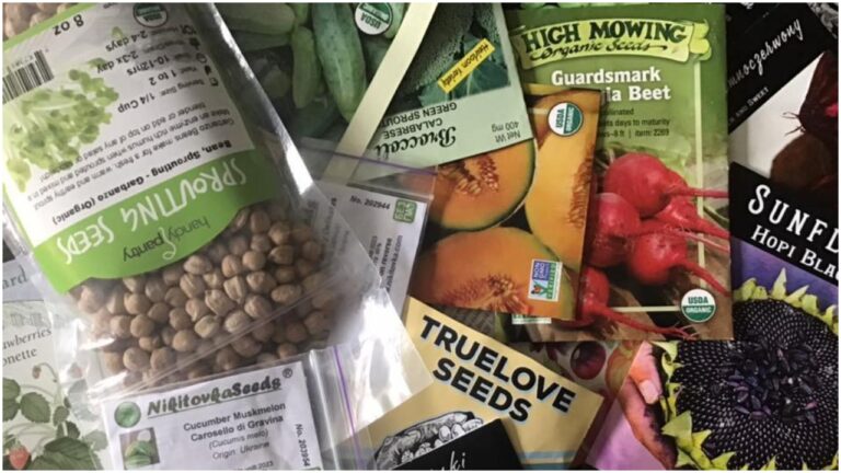 Seed Companies Fraud: లక్కీడ్రాలు, స్కీంల పేరిట విత్తనకంపెనీల మోసాలు