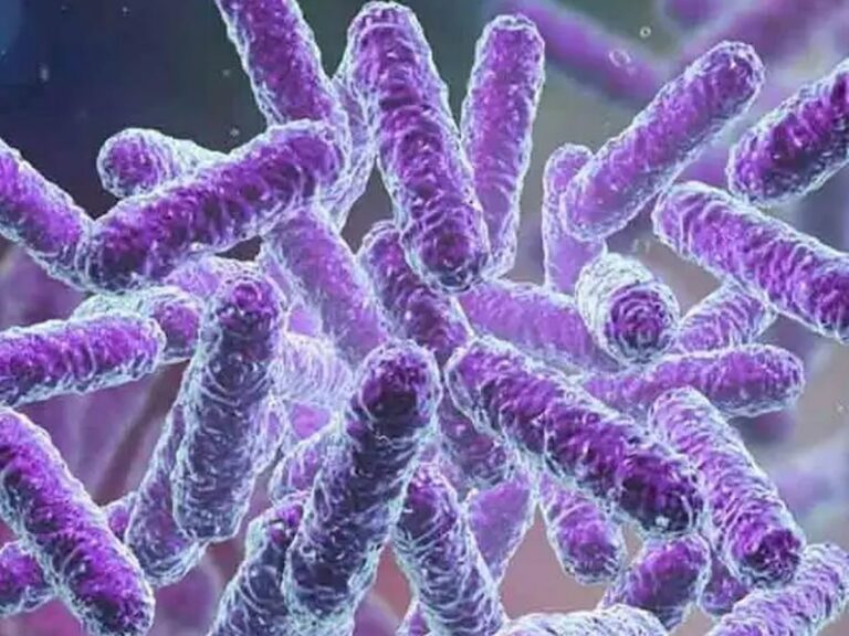 Kerala: షిగెల్లా ఎఫెక్ట్.. దేశంలో తొలి మరణం