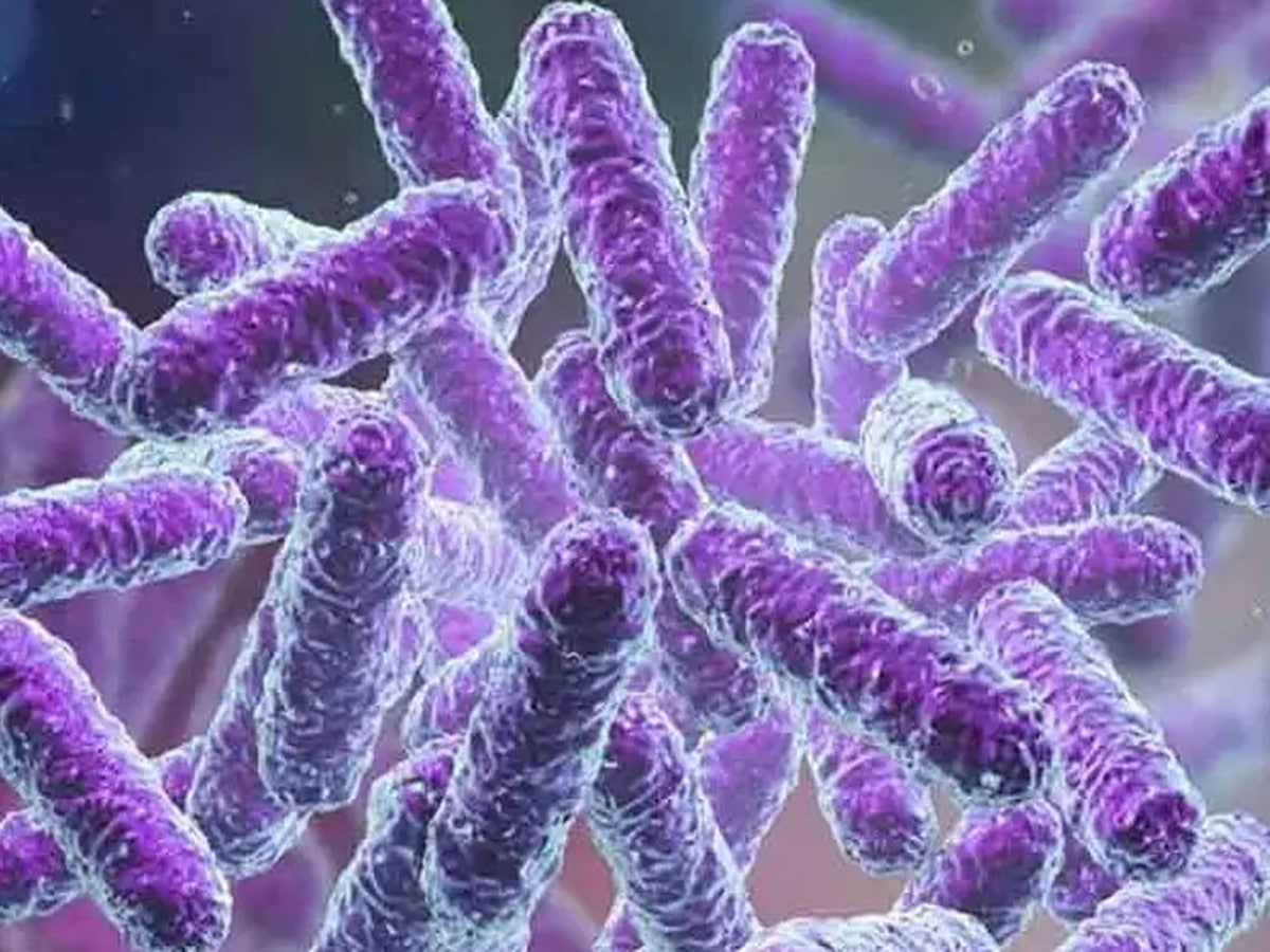 Kerala: షిగెల్లా ఎఫెక్ట్.. దేశంలో తొలి మరణం