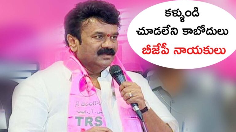 Talasani Srinivas Yadav:కళ్ళుండి చూడలేని కబోదులు బీజేపీ నాయకులు