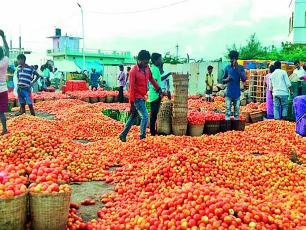 Tomato Prices: భారీగా పెరిగిన టమోట ధరలు.. కిలో రూ.40 పెంపు