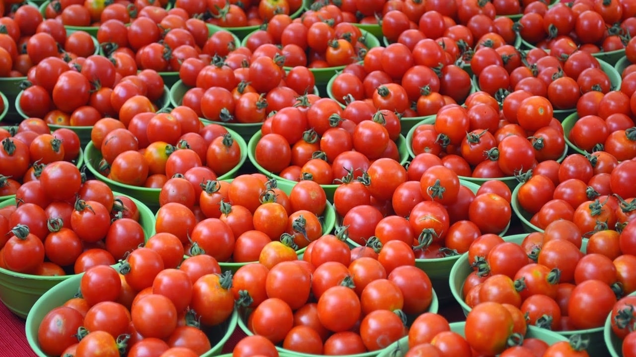 Tamota Prices: వామ్మో.. రూ.100 దాటిన టమోటా ధర