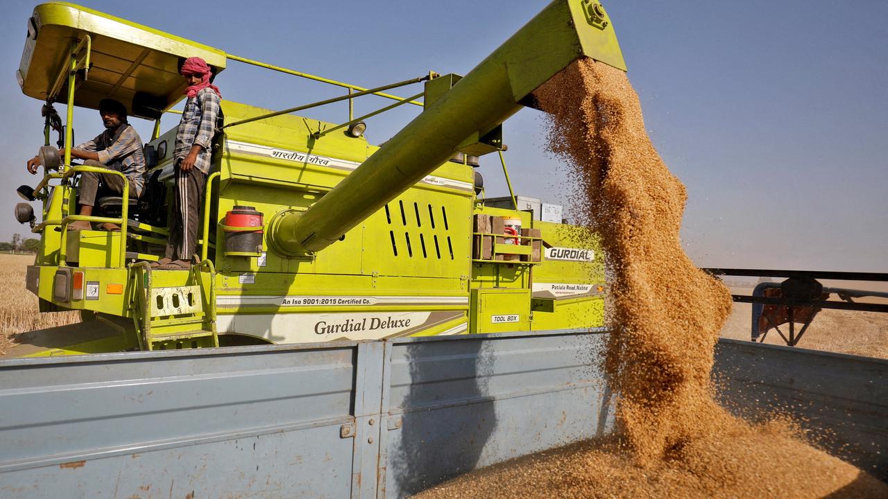 Wheat Export Ban: గోధుమ ఎగుమతులపై కేంద్రం బ్యాన్… ధరలు నియంత్రించేందుకు నిర్ణయం