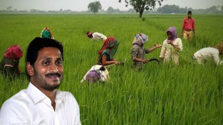 Andhra Pradesh: రైతులకు శుభవార్త.. రేపు వైఎస్ఆర్ రైతు భరోసా నిధులు జమ
