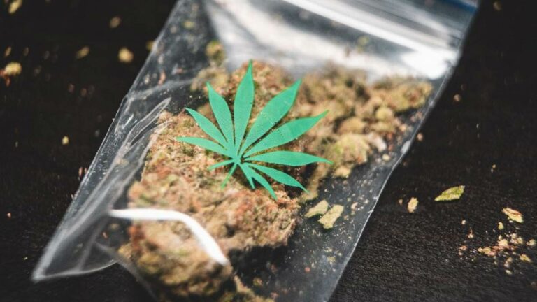 Ganja Smuggling : పుష్పను మించిన ప్లాన్‌.. కానీ చివరికి..