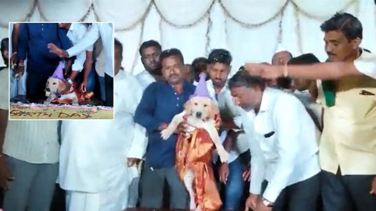 Viral: ఘనంగా శునకం బర్త్‌ డే పార్టీ.. 5 వేల మందికి భోజనాలు.. పొలిటికల్‌ టచ్‌ కూడా ఉందట..!