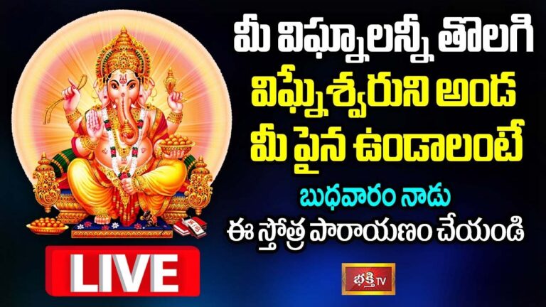 LIVE: విఘ్నాలన్నీ తొలగి విఘ్నేశ్వరుని అండ ఉండాలంటే ఇది చేయాల్సిందే..