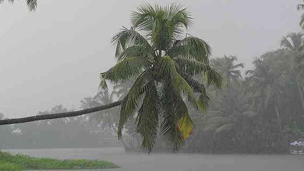 Rains In AP : ఏపీలో పలు చోట్ల భారీ వర్షాలు..