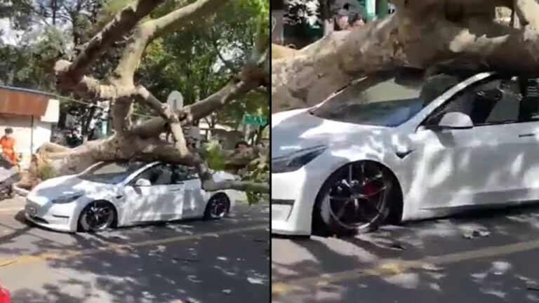 Tesla Cars : టెస్లా కార్‌ ఇంత స్ట్రాంగా..?