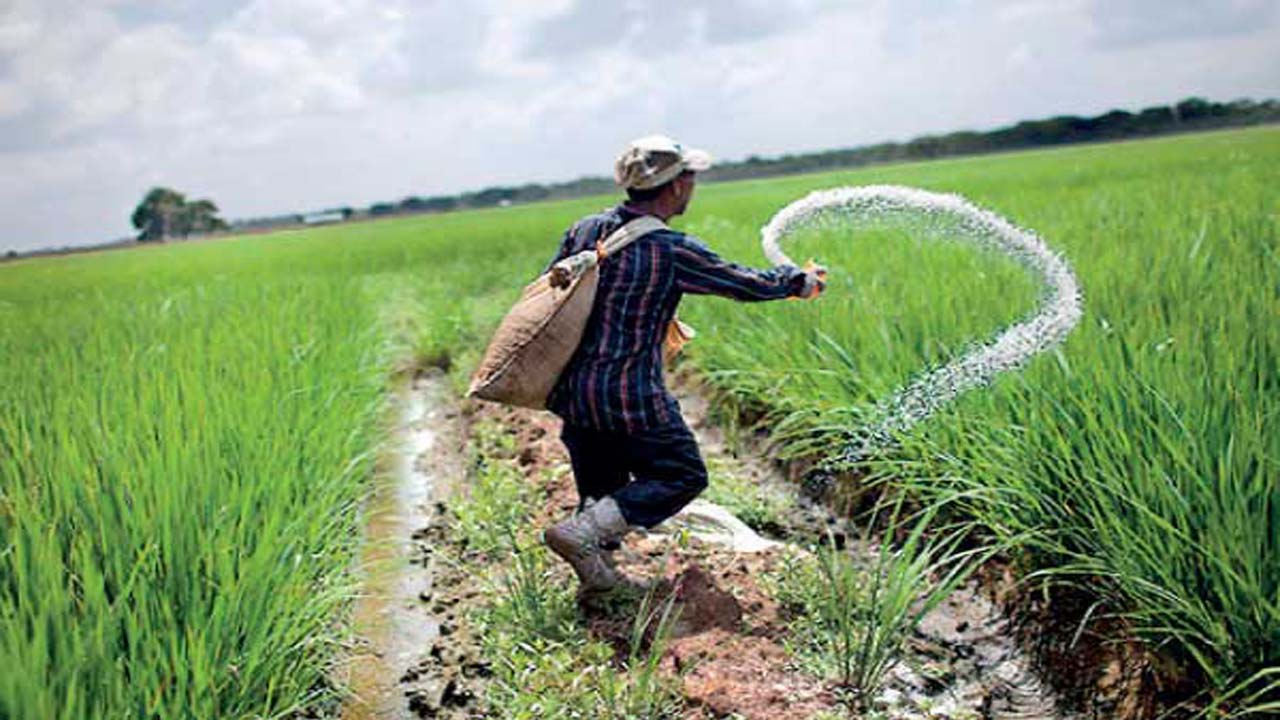 Srilanka Crisis: దయచేసి అప్పు ఇవ్వండి.. ఇండియాను కోరిన శ్రీలంక