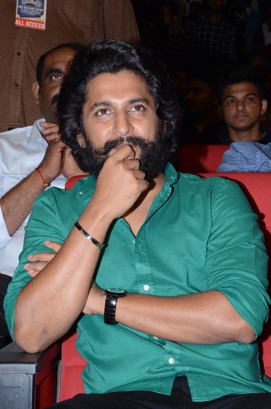 Ante Sundaraniki Pre Release Event (9)