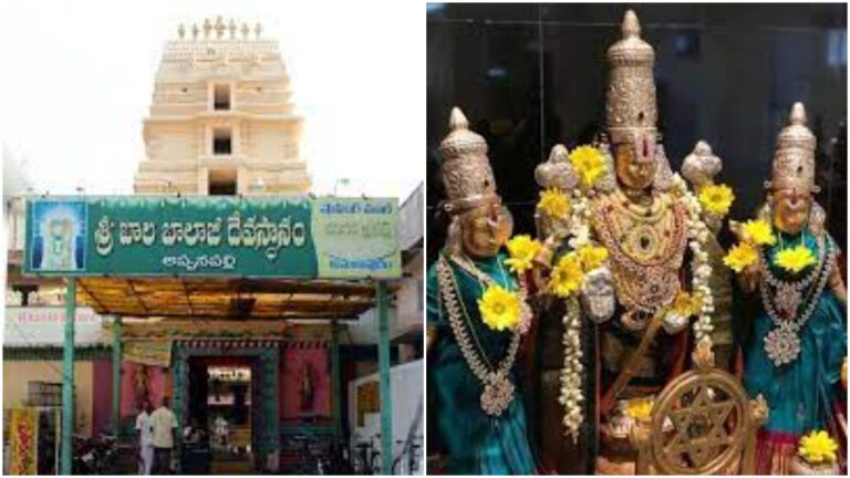 Appannapally Balaji: శ్రీబాలబాలాజీ కల్యాణం.. కమనీయం