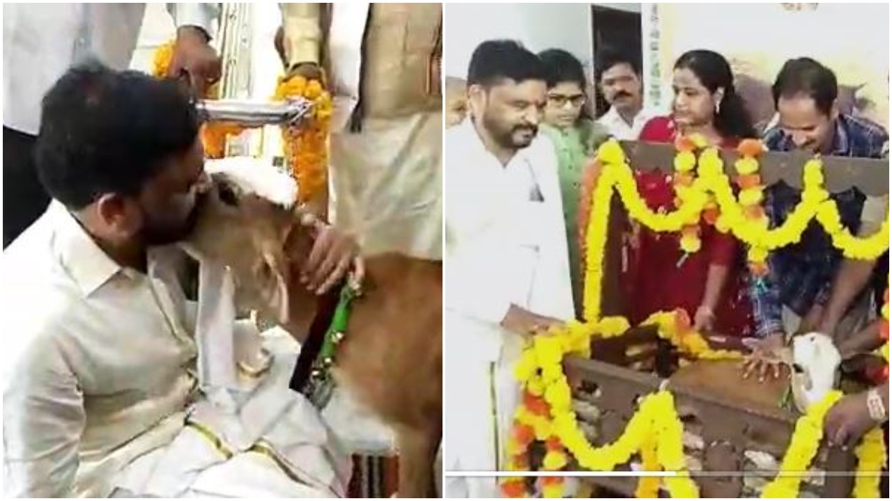 Viral News: ఆవు దూడకు బారసాల అదిరేలా.. ఎక్కడంటే…?