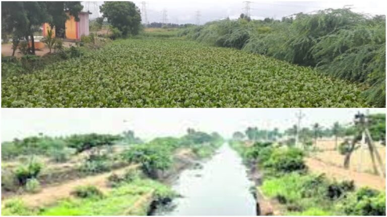 Delta Farmers: ఖరీఫ్ వేళ.. డెల్టా రైతులకు కొత్త కష్టాలు