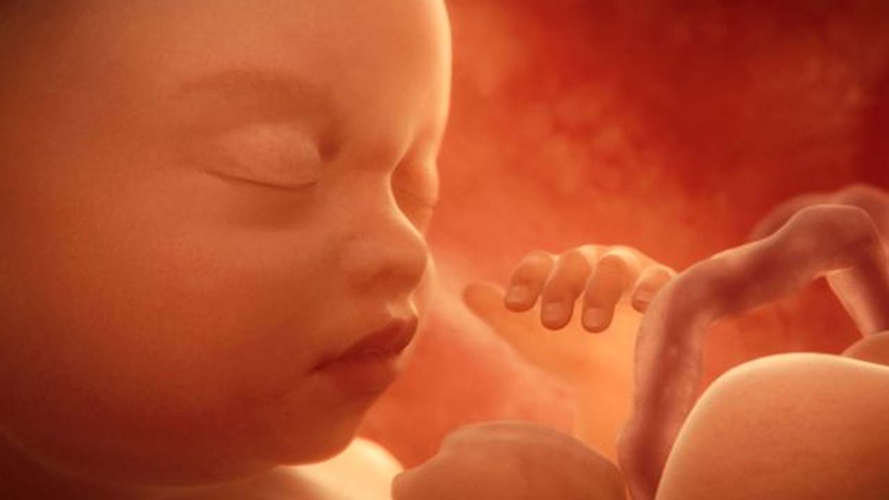 Bhadradri: నార్మల్ డెలివరీ అన్నారు.. మందులు ఇచ్చారు.. నాబిడ్డను చంపారు