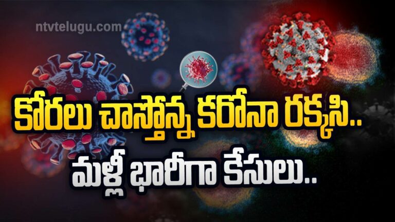 Corona Updates : కోరలు చాస్తోన్న కరోనా రక్కసి.. మళ్లీ భారీగా దేశంలో కేసులు..