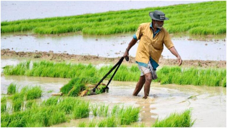 Crop Holiday: క్రాప్ హాలీడేపై కనిపించని క్లారిటీ