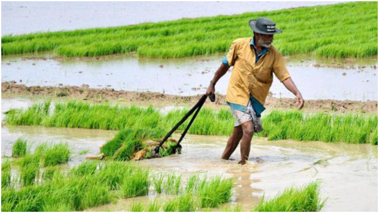 Crop Holiday: క్రాప్ హాలీడేపై కనిపించని క్లారిటీ