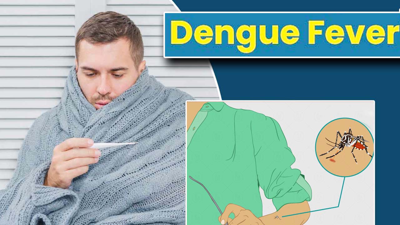 Dengue Fever: ప్రబలుతోన్న డెంగీ.. 167 మందికి పాజిటివ్‌