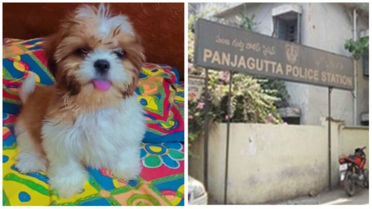 Dog Missing: మా కుక్క కనిపించడంలేదు.. వెతికి పెట్టండి