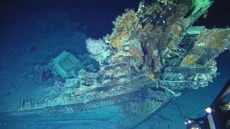 Gold: సముద్ర గర్భంలో.. ధగధగల బంగారు నిధి.. విలువెంతో తెలిస్తే షాకే!