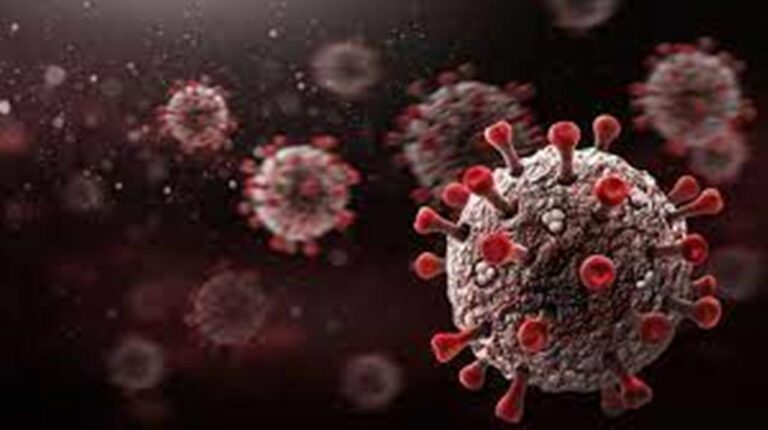 Corona: దేశంలో స్వల్పంగా తగ్గిన కరోనా.. కొత్తగా 6594 కేసులు