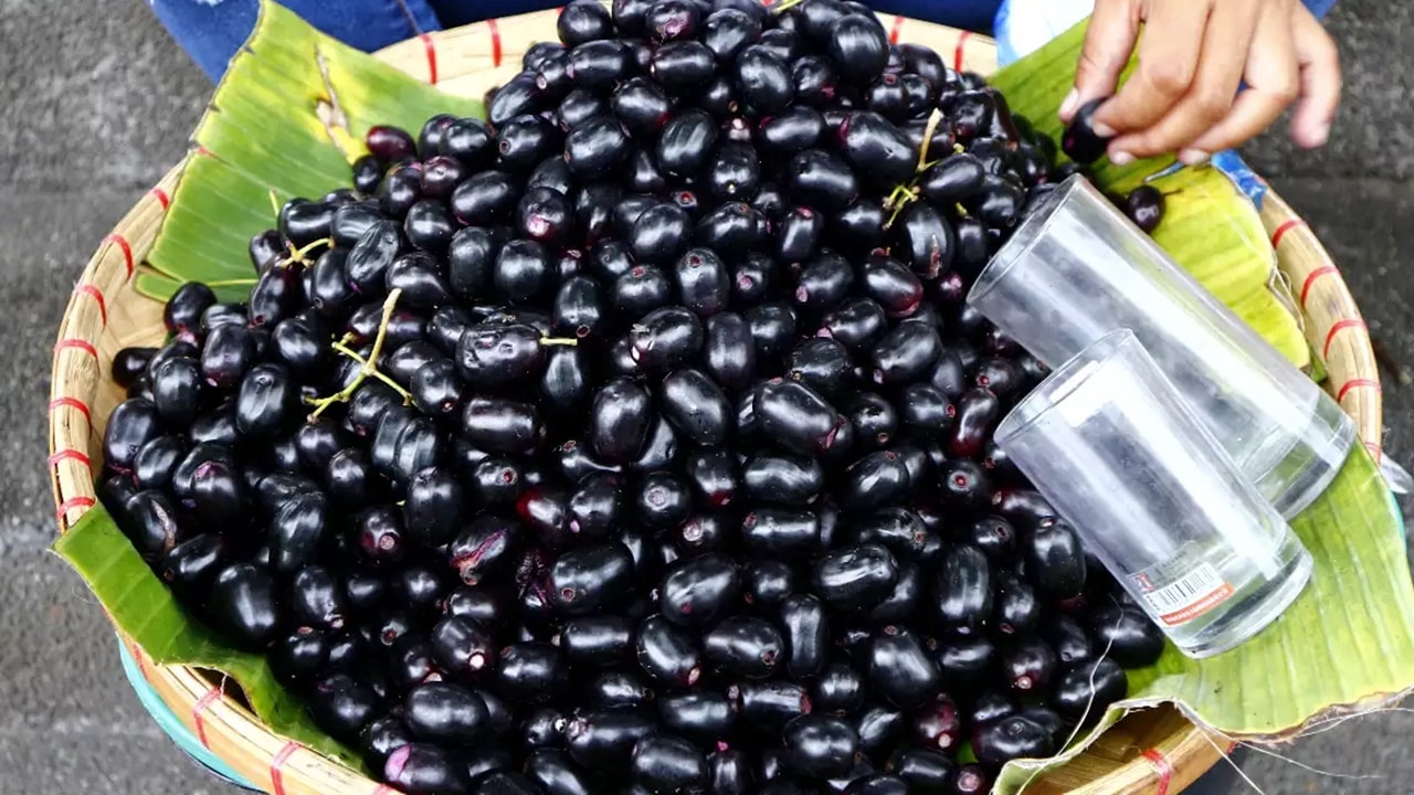 Kurnool District: నేరేడు పండ్లు తిని ఇద్దరు చిన్నారులు మృతి.. కారణం ఏంటంటే..?