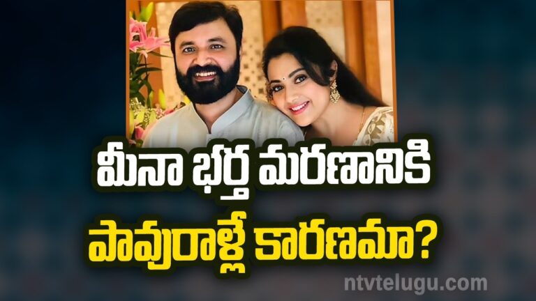 Meena: షాకింగ్.. నటి మీనా భర్త మరణానికి పావురాళ్లే కారణమా?