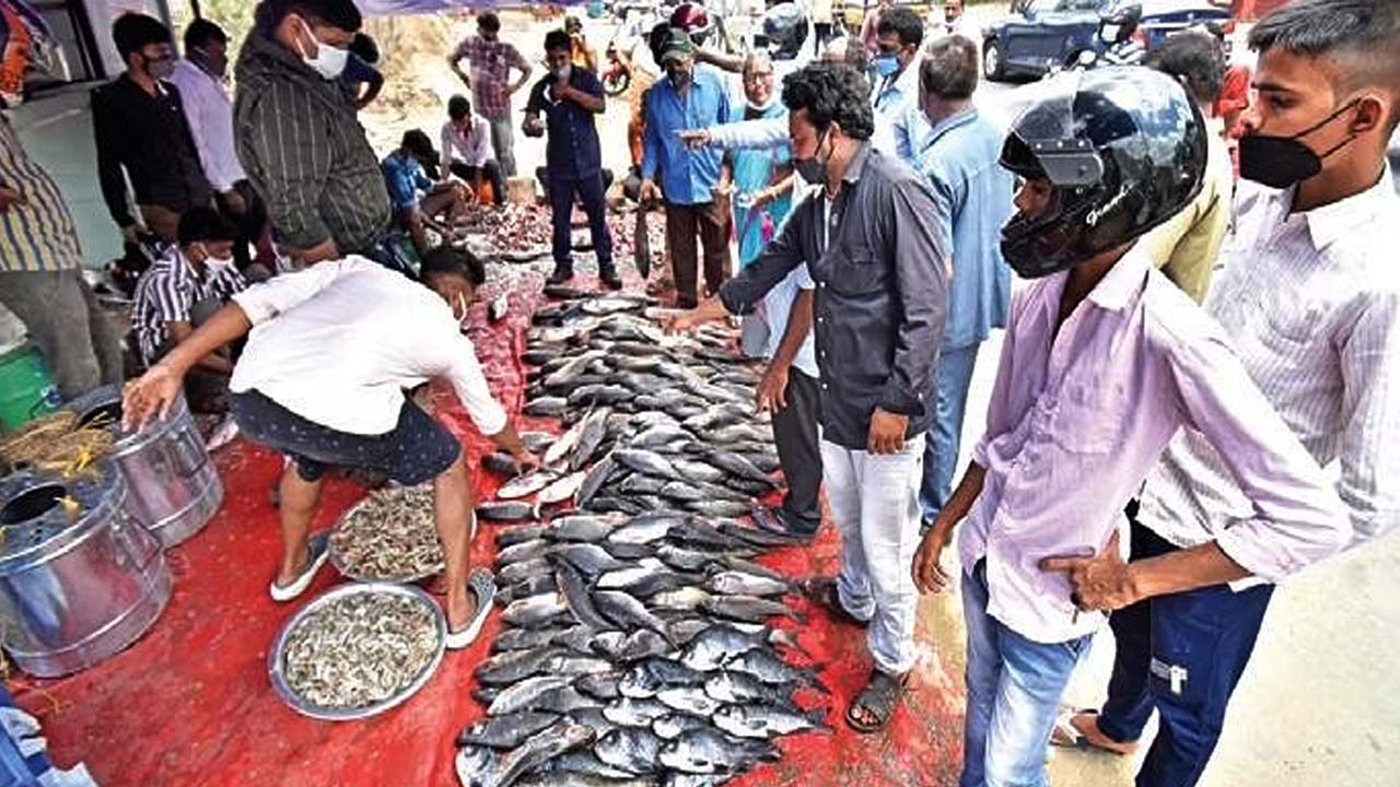 Mrigasira Karthi: మృగశిర కార్తె.. చేపల కోసం క్యూకట్టిన జనం