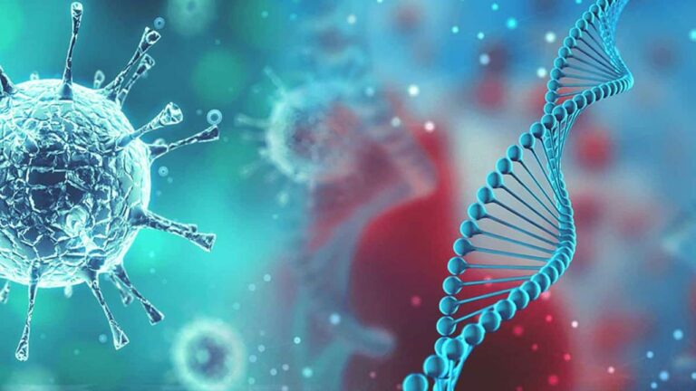 Corona Updates : కర్ణాటకలో మళ్లీ కరోనా కలవరం..