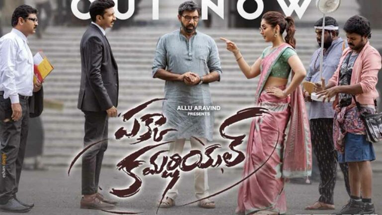 Pakka Commercial Trailer : సెల్యూట్ కొట్టించుకోవడానికి నేను హీరోను కాదు.. విలన్