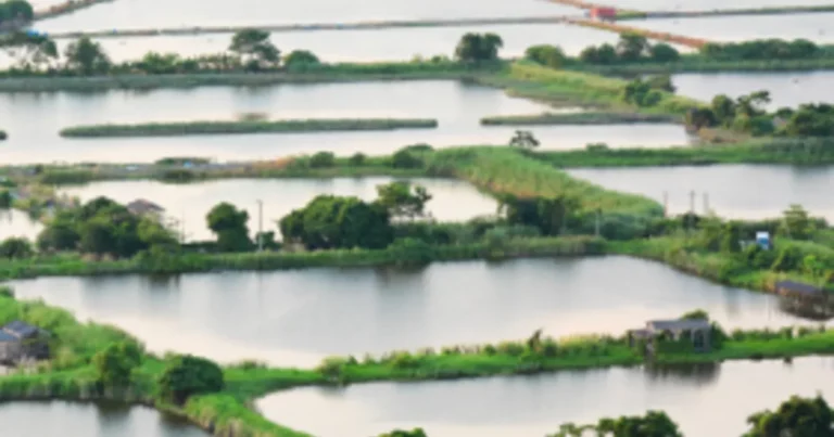 Ponds Controversy: ఎండపల్లిలో చెరువుల వివాదం .. టెన్షన్ టెన్షన్