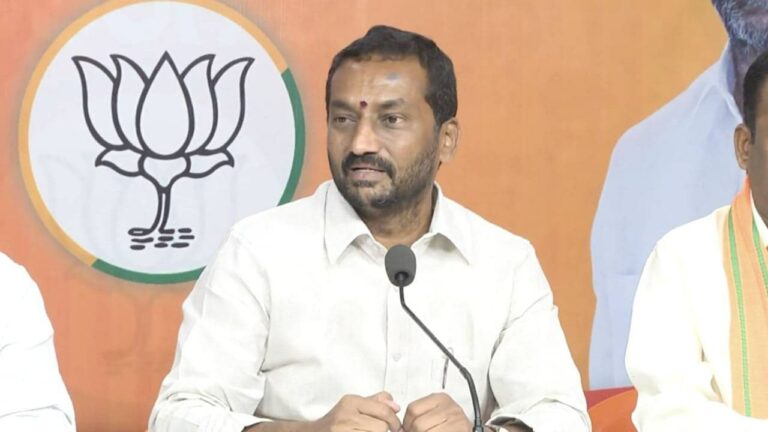 Raghunandan Rao: నాకు కేసులంటే కొత్త కాదు.. ఉడత ఊపులకు భయపడను