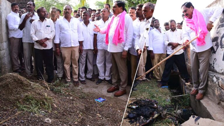 Errabelli Dayakar Rao: పల్లెప్రగతిలో జోష్‌ నింపిన మంత్రి