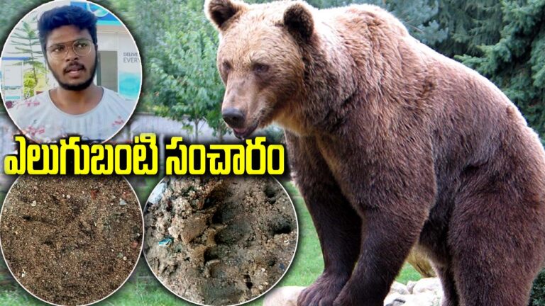 Bear in Public Place: జనగామలో ఎలుగుబంటి సంచారం.. భయాందోళనలో గ్రామం