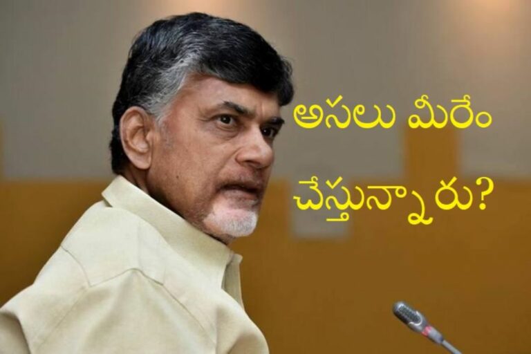 Chandrababu Naidu: నేను చెప్పిందేంటి? మీరు చేస్తున్నదేంటి?