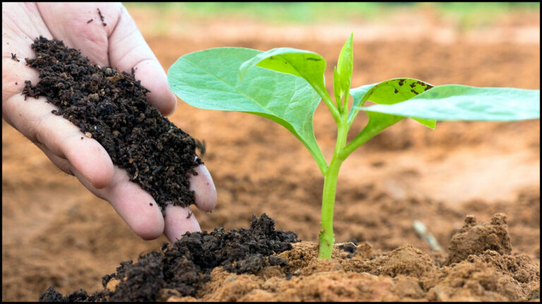 Fake Organic Fertilizers: భువనగిరిలో నకిలీ ఆర్గానిక్ ఎరువుల కలకలం