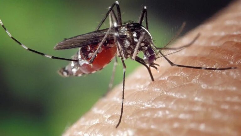 Japanese Encephalitis: అస్సాంలో బ్రెయిన్ ఫీవర్ కల్లోలం.. 47కు చేరిన మరణాల సంఖ్య