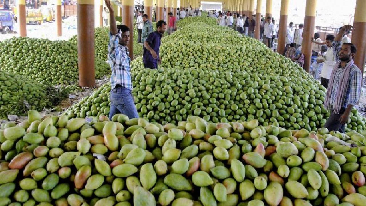 Mango Express: ఈ సారి ఢిల్లీకి మ్యాంగో ఎక్స్ ప్రెస్ లేనట్లే..