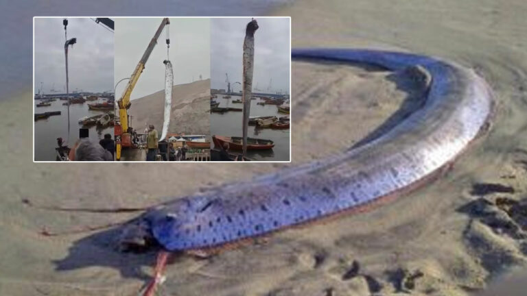 Viral: మత్స్యకారులకి చిక్కిన అరుదైన చేప.. అది అపశకునమట..!