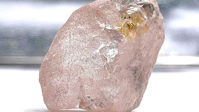 Pink Diamond : అరుదైన పింక్‌ డైమండ్‌ లభ్యం.. విలువ తెలిస్తే షాకే..